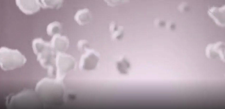 菠菜担保网绒柔暖型内衣