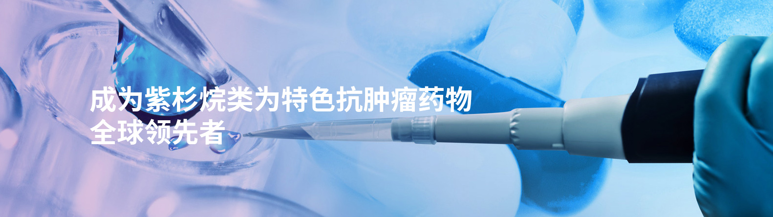 菠菜担保网杉大健康